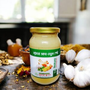 Ginger-Garlic paste